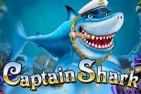 Captain Shark